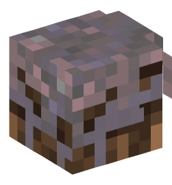 Minecraft head — Blocks