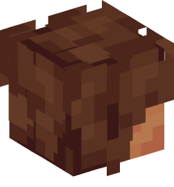 Minecraft head — People