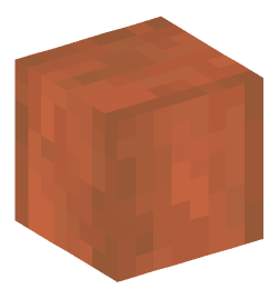 Minecraft head — Blocks