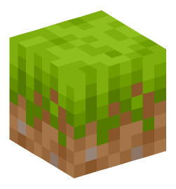 Minecraft head — Blocks