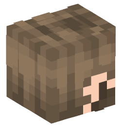 Minecraft head — People