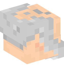 Minecraft head — People