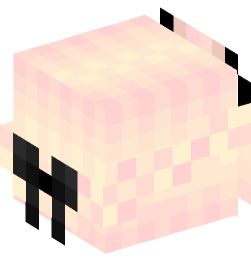 Minecraft head — People