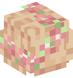 Minecraft head — People