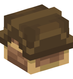 Minecraft head — Decor