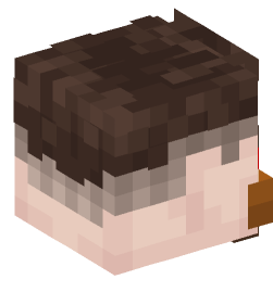 Minecraft head — People