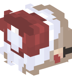 Minecraft head — People