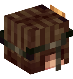 Minecraft head — People