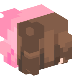 Minecraft head — People