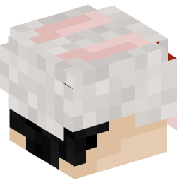 Minecraft head — People