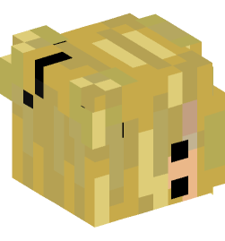 Minecraft head — People