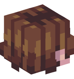 Minecraft head — People