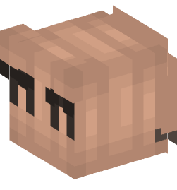 Minecraft head — People