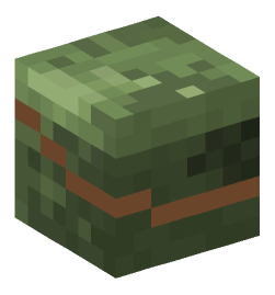 Minecraft head — Creatures