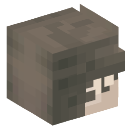 Minecraft head — People