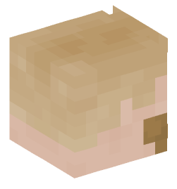 Minecraft head — People