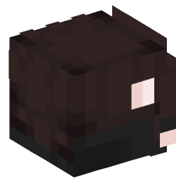 Minecraft head — Decor