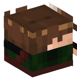 Minecraft head — Decor