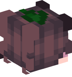 Minecraft head — People