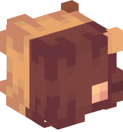 Minecraft head — Creatures