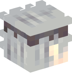 Minecraft head — People