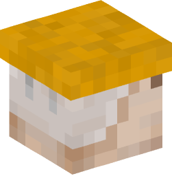 Minecraft head — Creatures