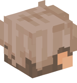 Minecraft head — People