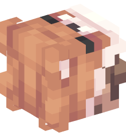 Minecraft head — People