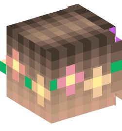 Minecraft head — People