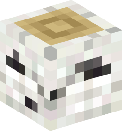 Minecraft head — Blocks