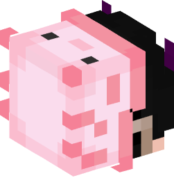 Minecraft head — Creatures