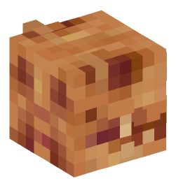 Minecraft head — Creatures