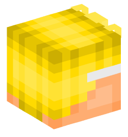 Minecraft head — People