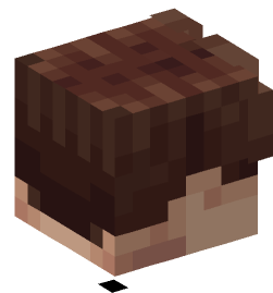 Minecraft head — People