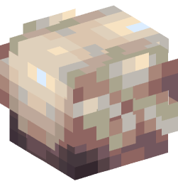 Minecraft head — Creatures