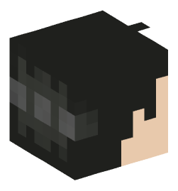 Minecraft head — People