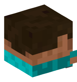 Minecraft head — Decor