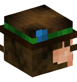 Minecraft head — People
