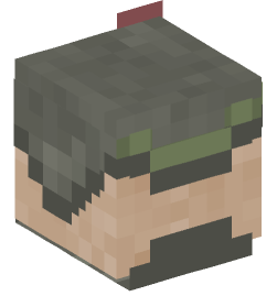 Minecraft head — Creatures