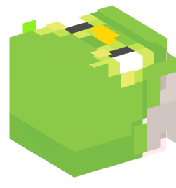 Minecraft head — People