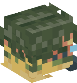 Minecraft head — Decor