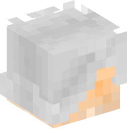 Minecraft head — People