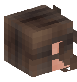 Minecraft head — People