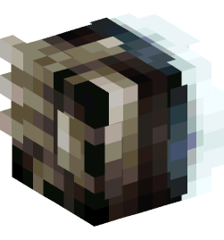 Minecraft head — Decor