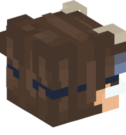 Minecraft head — People