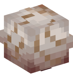 Minecraft head — Decor