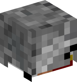 Minecraft head — People