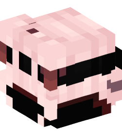 Minecraft head — People