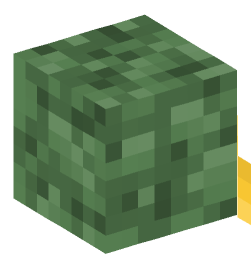 Minecraft head — Creatures