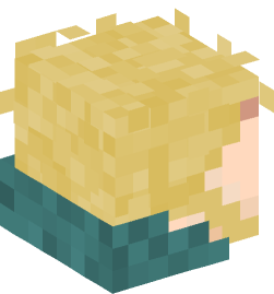 Minecraft head — People